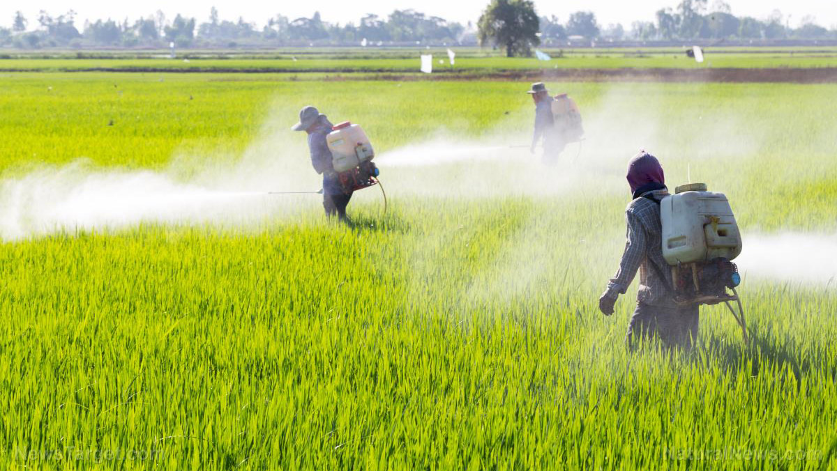 Agriculture Chemicals